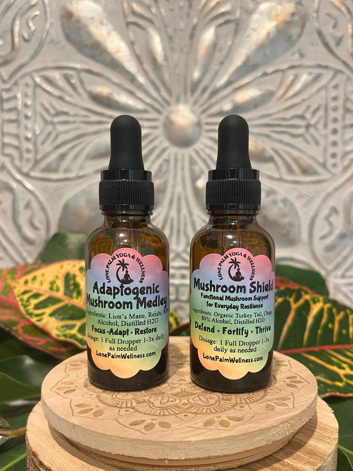 Mushroom Power Duo | Functional Mushroom Wellness Bundle