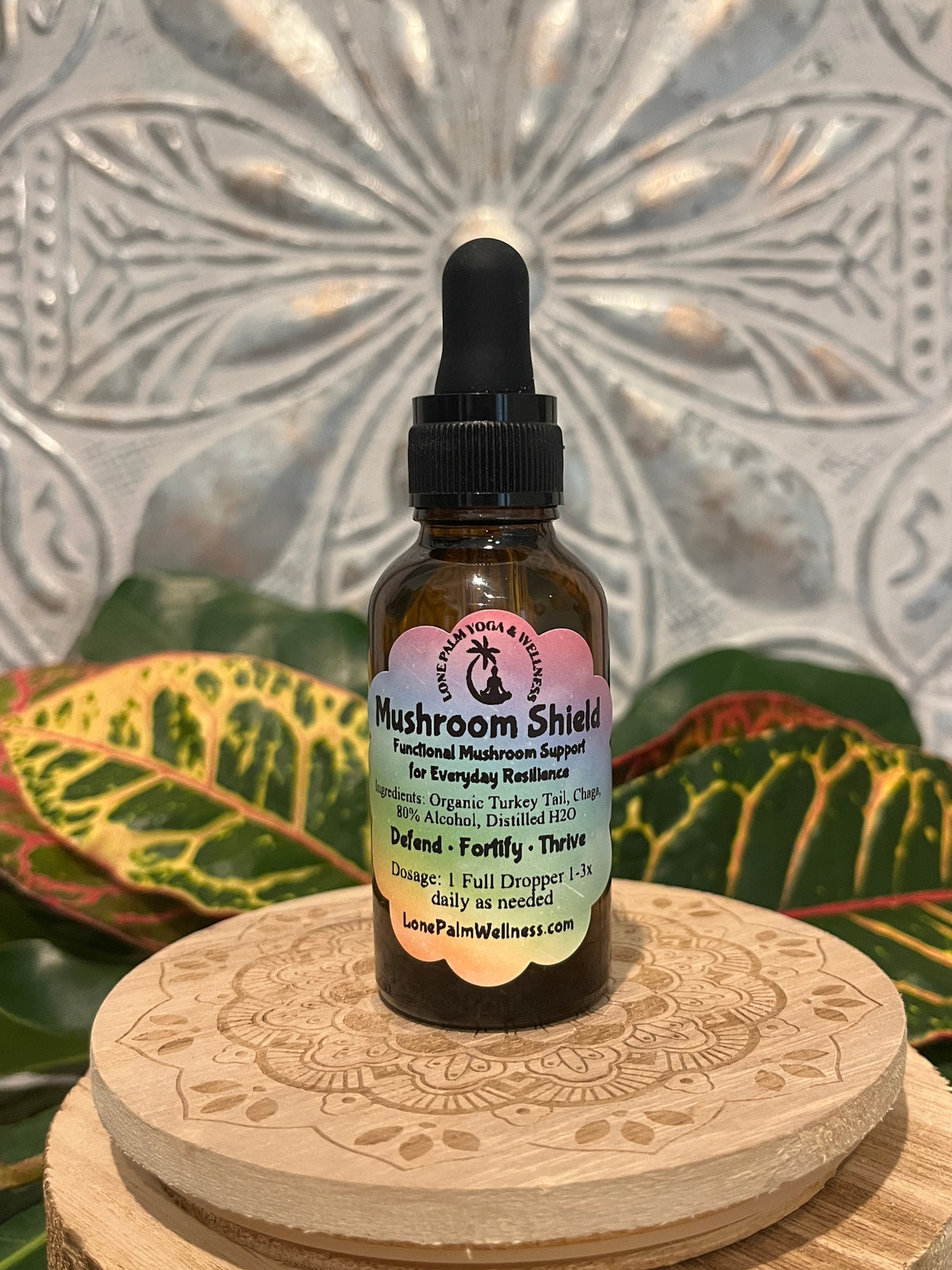 Mushroom Shield | Immune, Antioxidant & Resilience Support